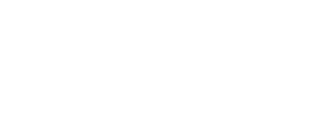 Action Point Consultancy